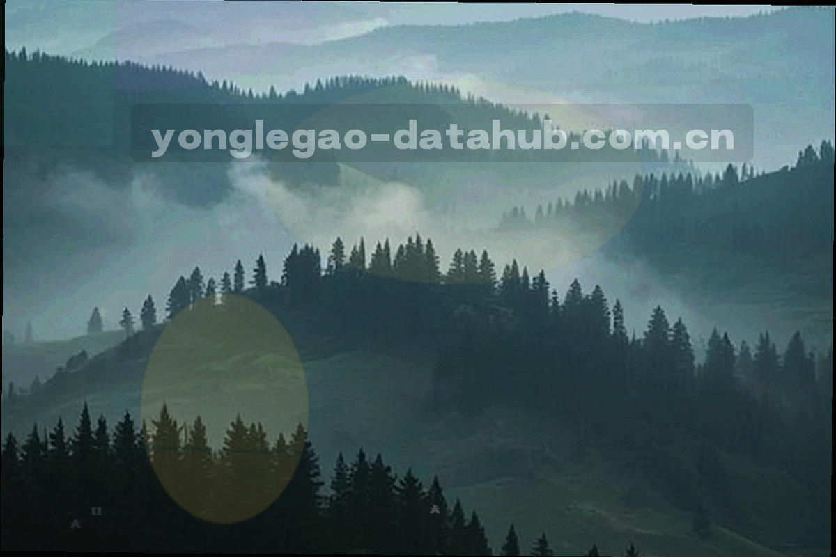 无人物特写的索引卡、印章与分类标签桌面